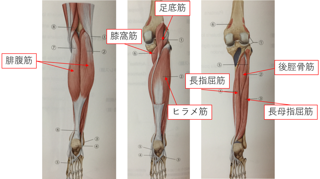 早く症状を和らげるためのヒント